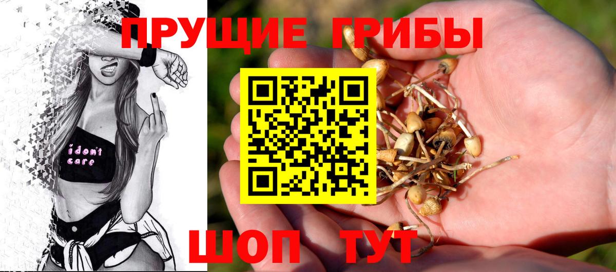 Псилоцибиновые грибы прущие грибы Магадан