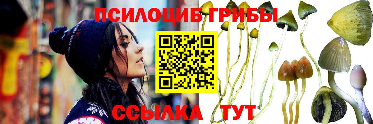 Магадан  Псилоцибиновые грибы ЛСД  Вход с VPN  Псилоцибиновые грибы Psilocybe 
